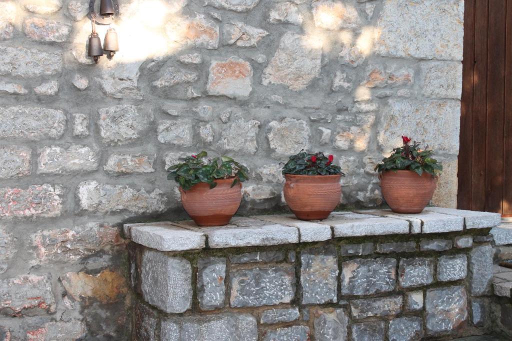 Guesthouse Karahalios Polydrosos Exteriör bild